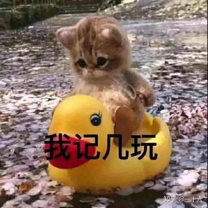 v2-83155f54b4324c2269546ff998e9b7cc_r.jpg