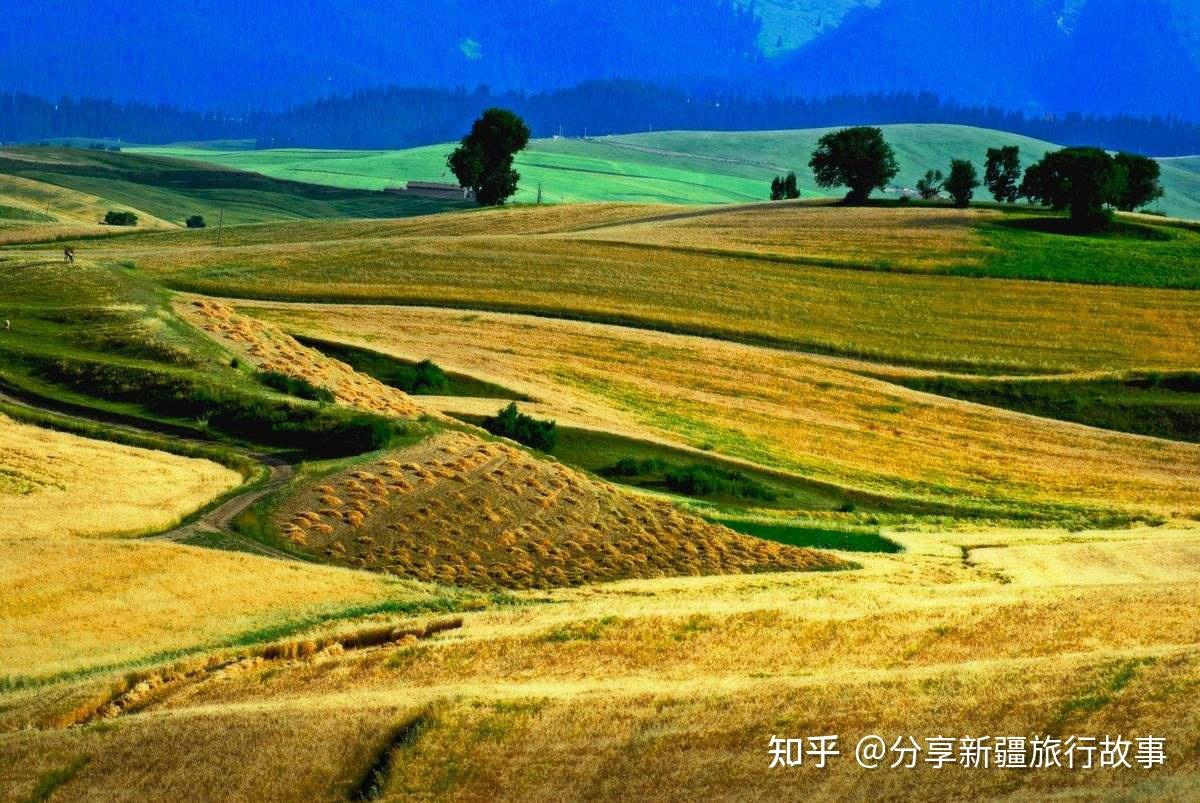 新疆旅游攻略(98)-新疆旅游景区景点-环东天山吐鲁番哈密奇台景区景点 - 知乎