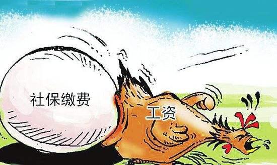 v2-8326dd718a43c7af3089558ede62bdc9_1440w.jpg