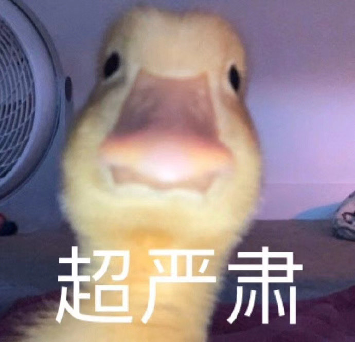 幼师文案沙雕,幼师文案沙雕搞笑