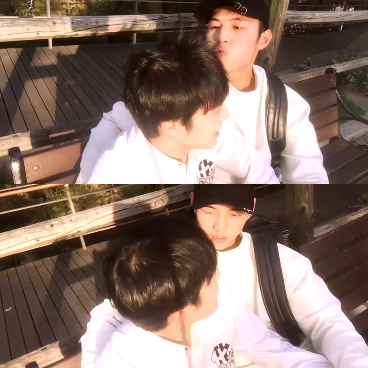 姚望和杨业明之间有多大的可能是真的