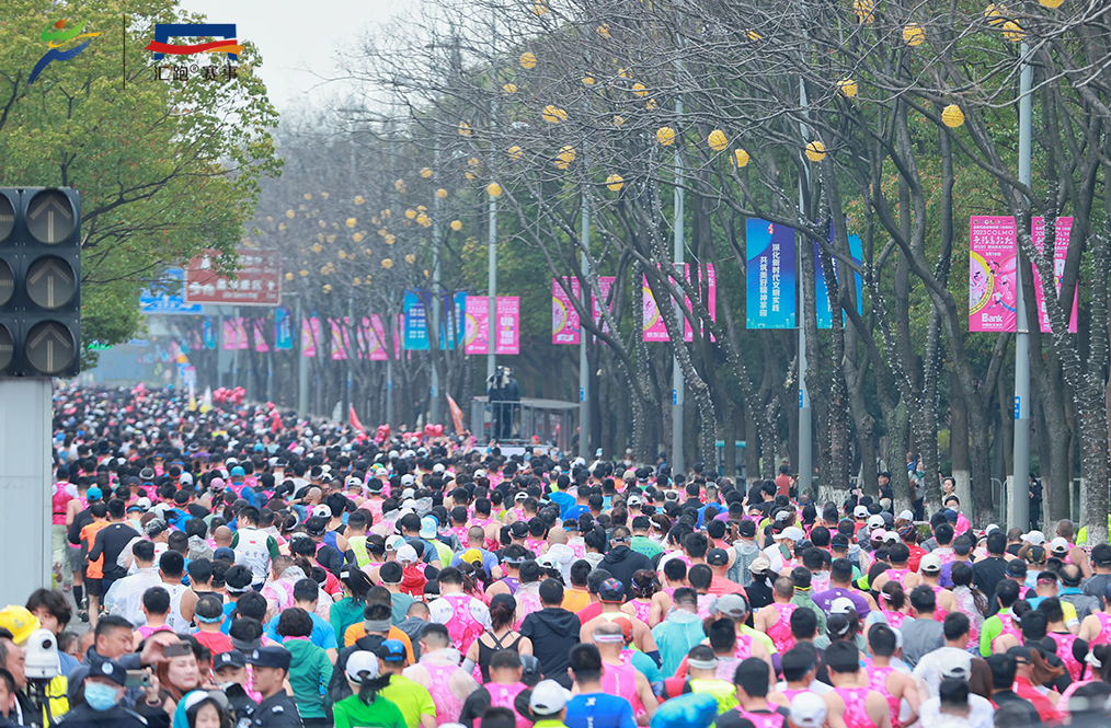 锡马十年即将启程2024海澜之家无锡马拉松本周日开赛