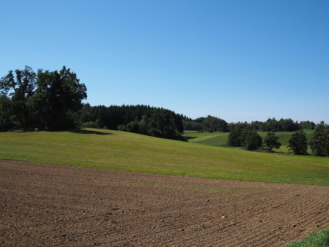 农村在耕地建房怎么办