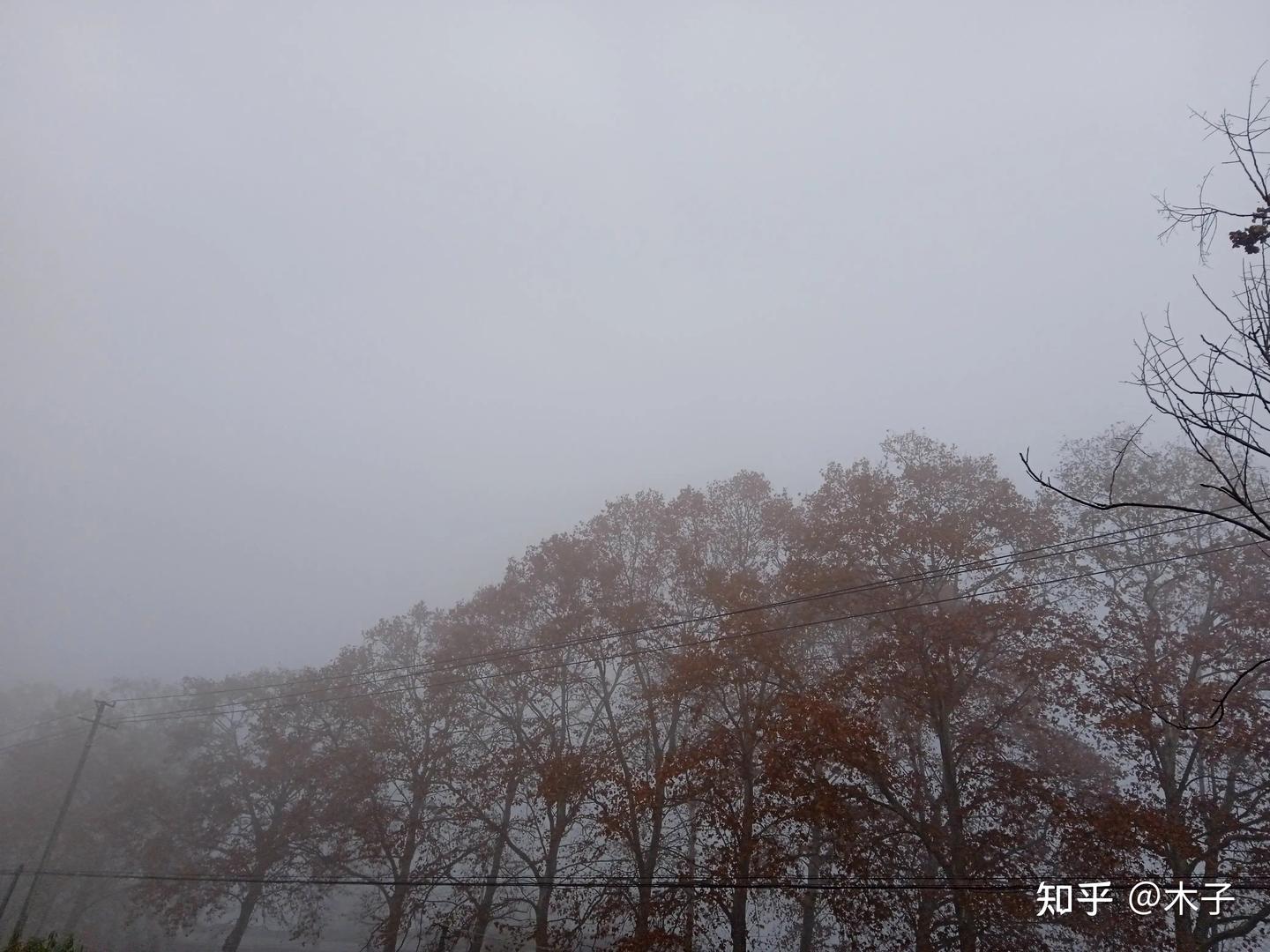 在不同的场景，雾给人的感觉不同 - 知乎