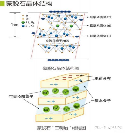 脑洞,蒙脱石散可以减肥吗? - 知乎