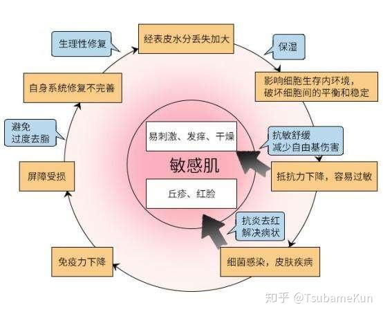 皮肤敏感等于皮肤过敏这样想就错了