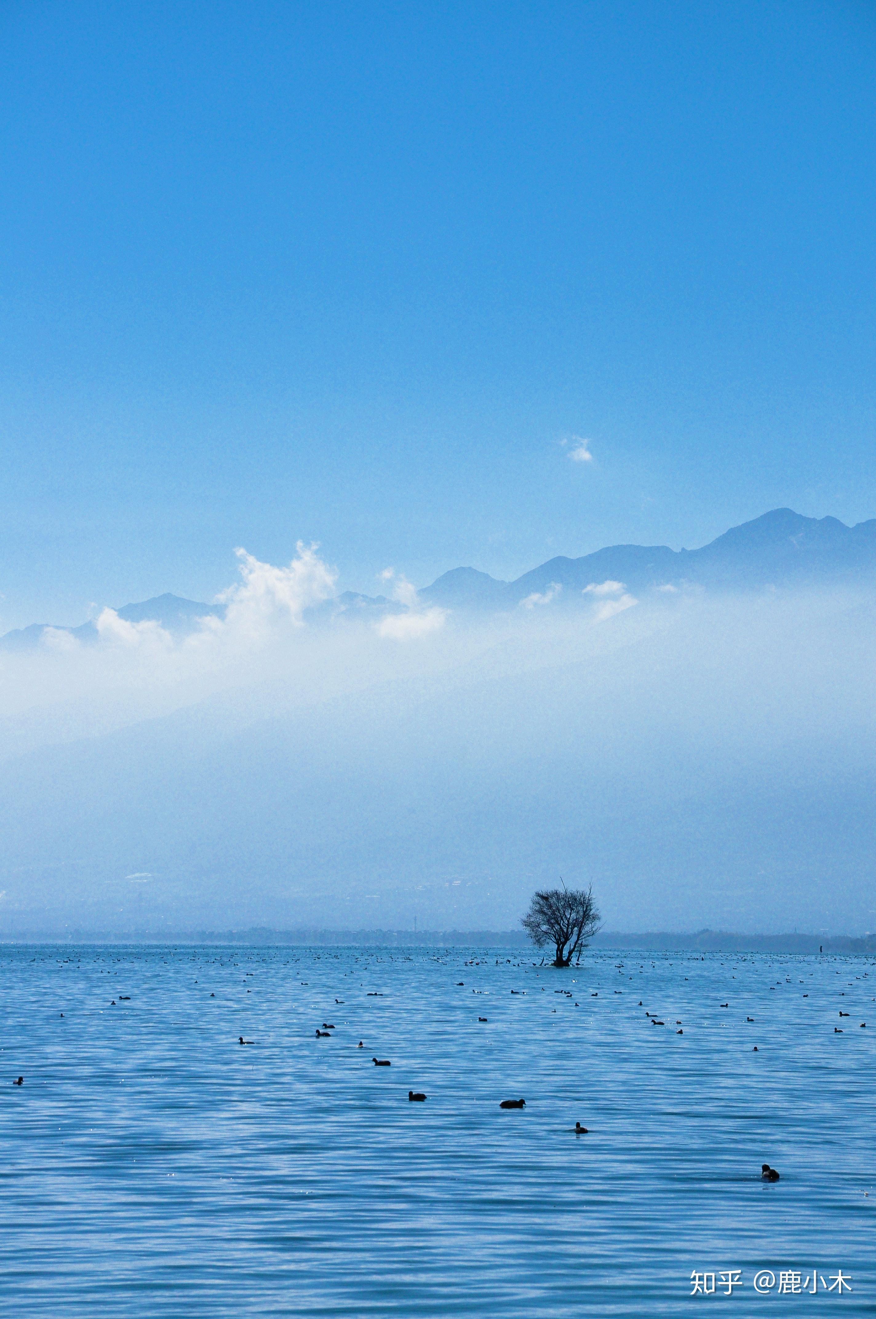 能发一张你照过的最好看的风景吗