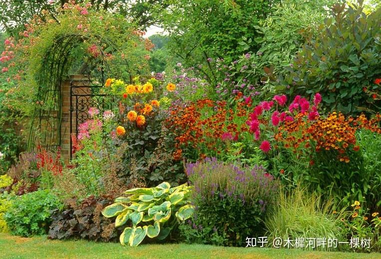 如何完成花境从设计到落地实施? - 知乎