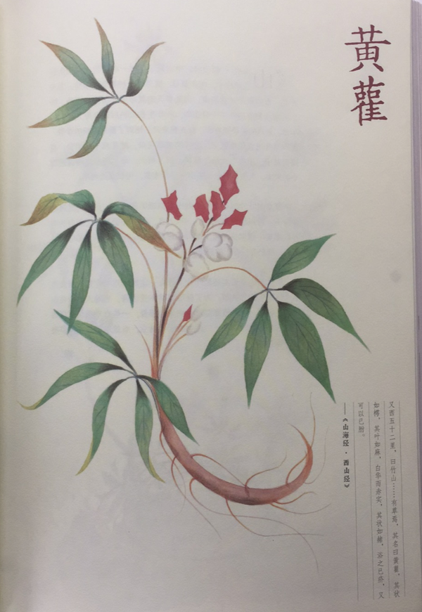 《山海经·西山经》异域奇兽【古今对照】整理——"西山一经"篇