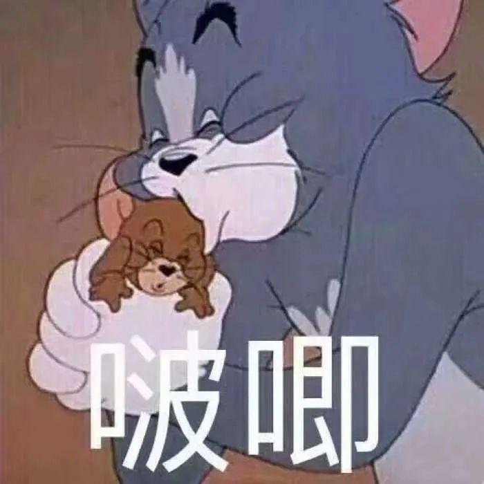 300张猫和老鼠表情包