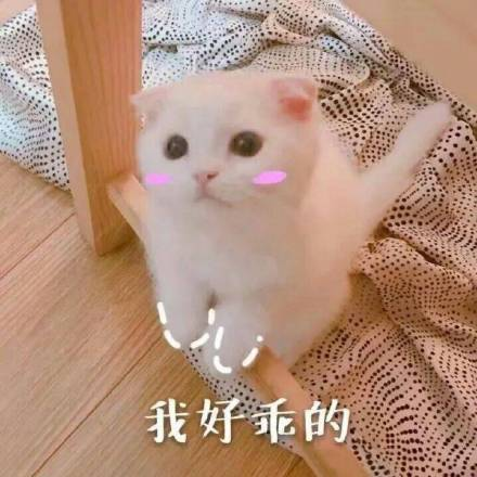 保养护肤水果_护肤保养说说_护肤保养 图片