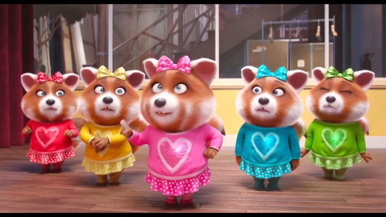 欢乐好声音就算一切瞬间崩塌我还有我的洗车小水桶呢