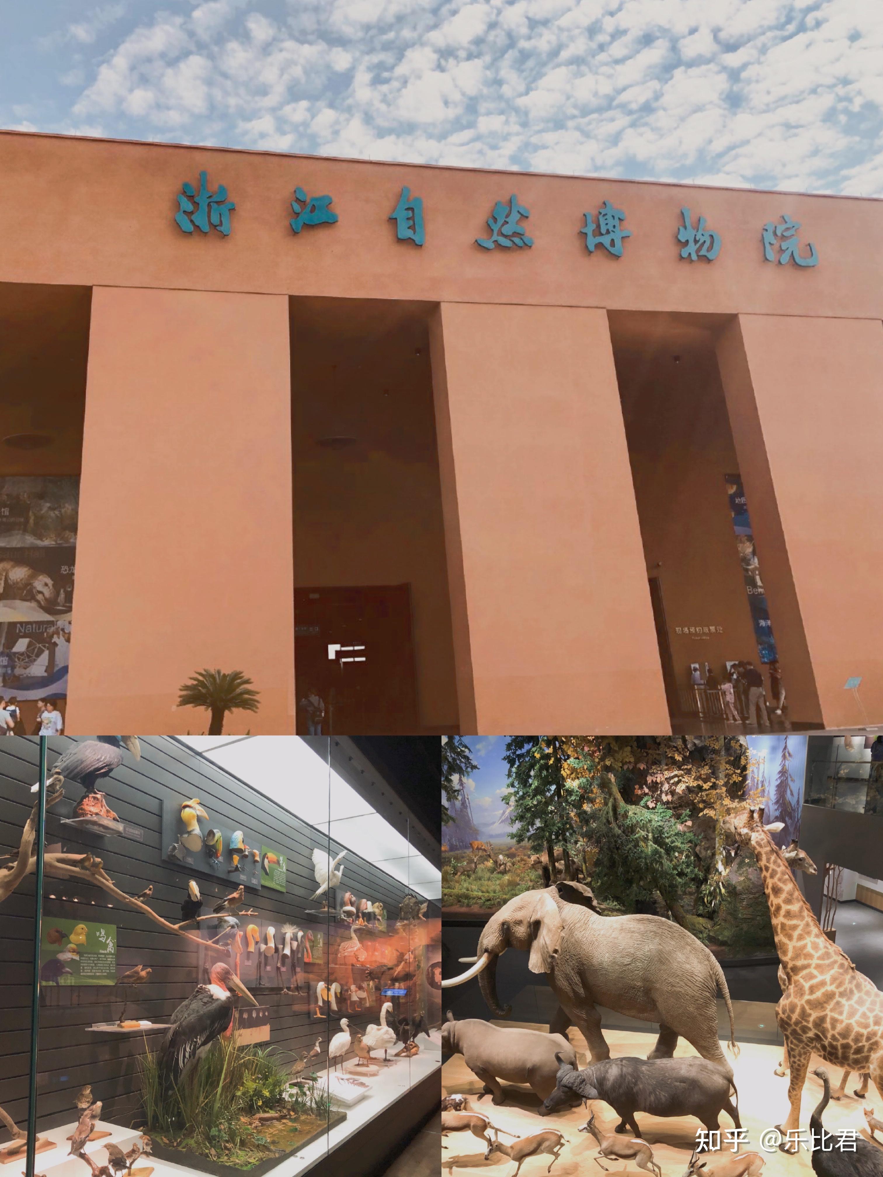 浙江自然博物馆安吉馆图片