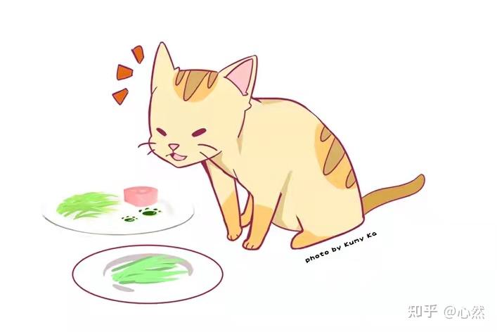 关于猫草,猫薄荷和木天蓼的小知识