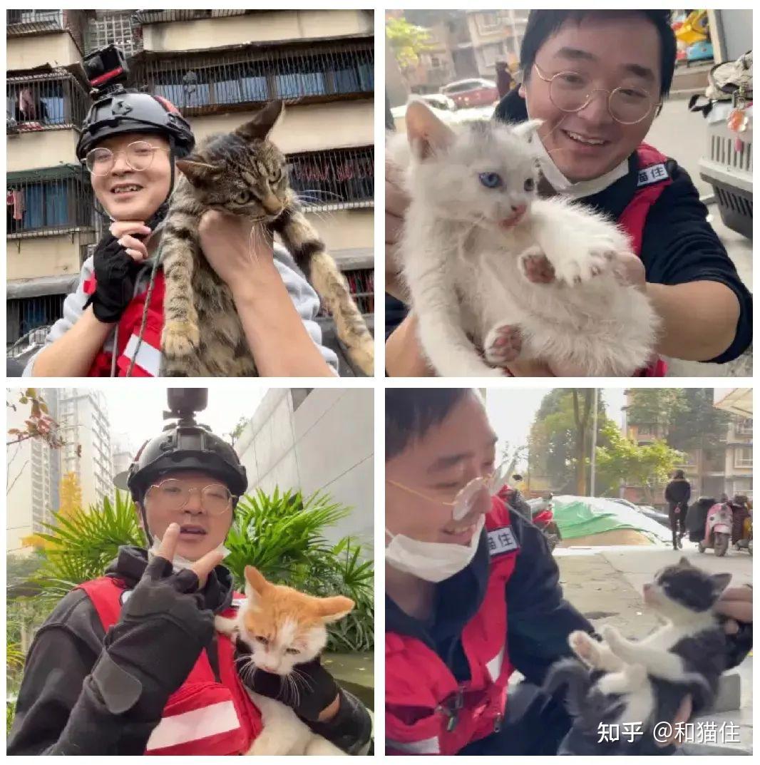 听说和猫住"人设"崩了?