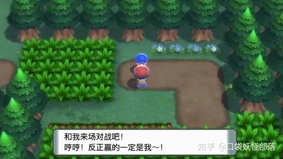 宝可梦晶灿钻石发售日期(《宝可梦晶灿钻石明亮珍珠》一周目图文攻略)  第5张