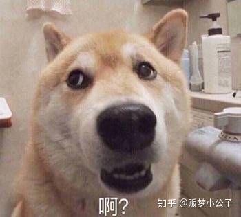 靓女的告诫 关于sp实践 知乎