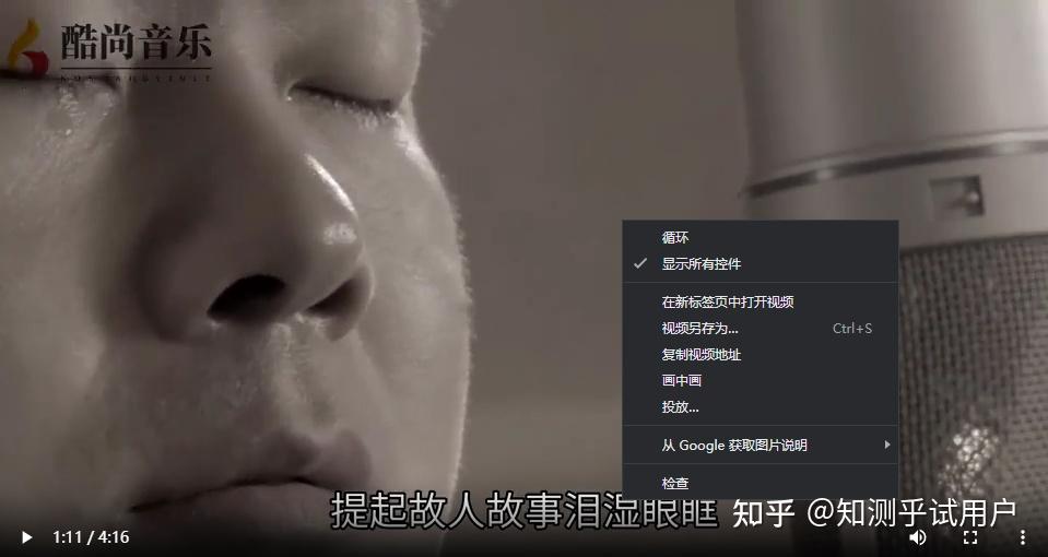 如何下载搜狐SOHU视频插图4