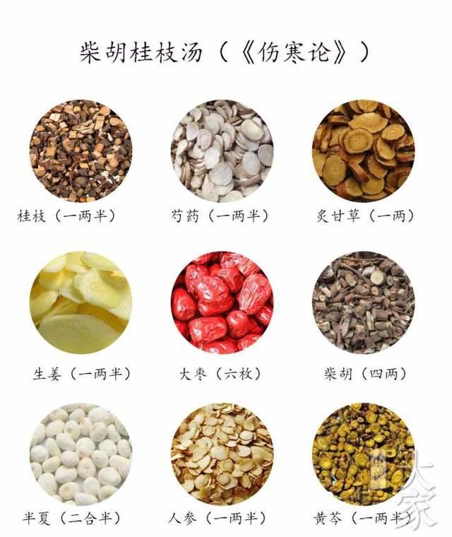 柴胡桂枝汤 一一【一篇外行能懂的临床理论】 - 知乎