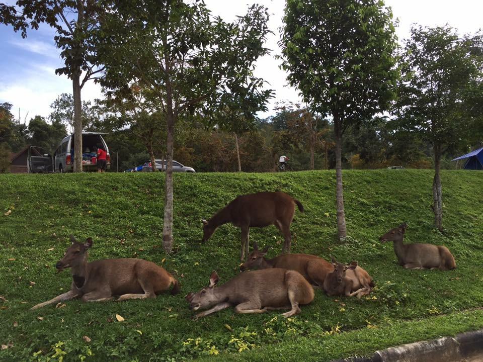 泰国哪些地方值得去?