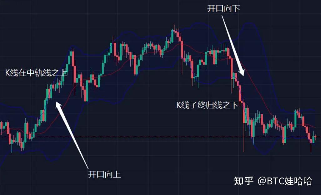 币圈前辈们有没有什么给炒了一年亏2W的新韭菜什么建议？