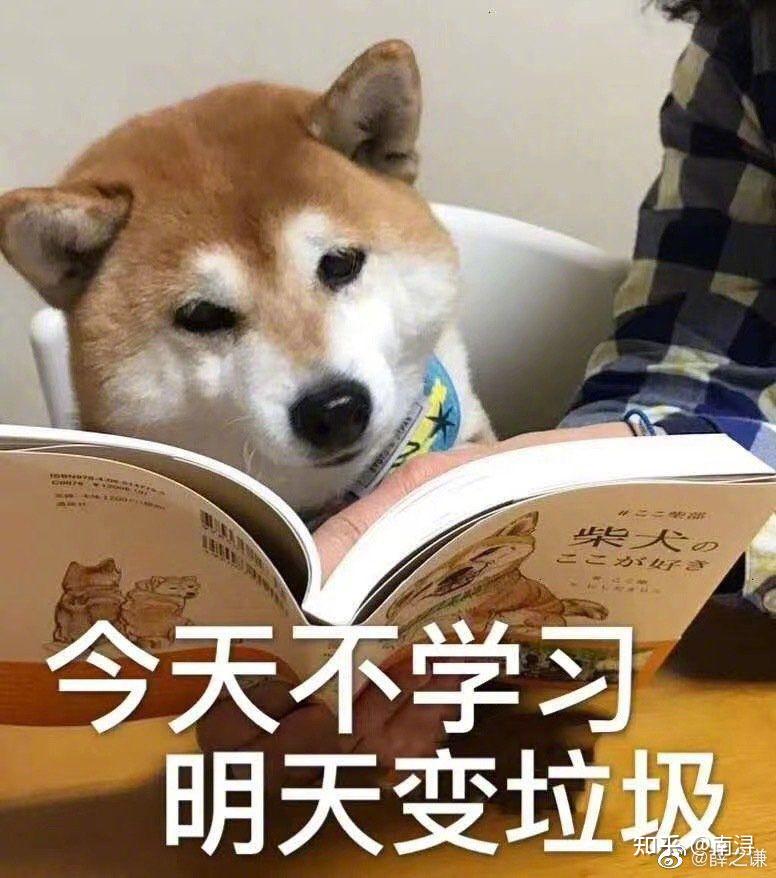 想問問大家有這種可愛的柴犬表情包嗎