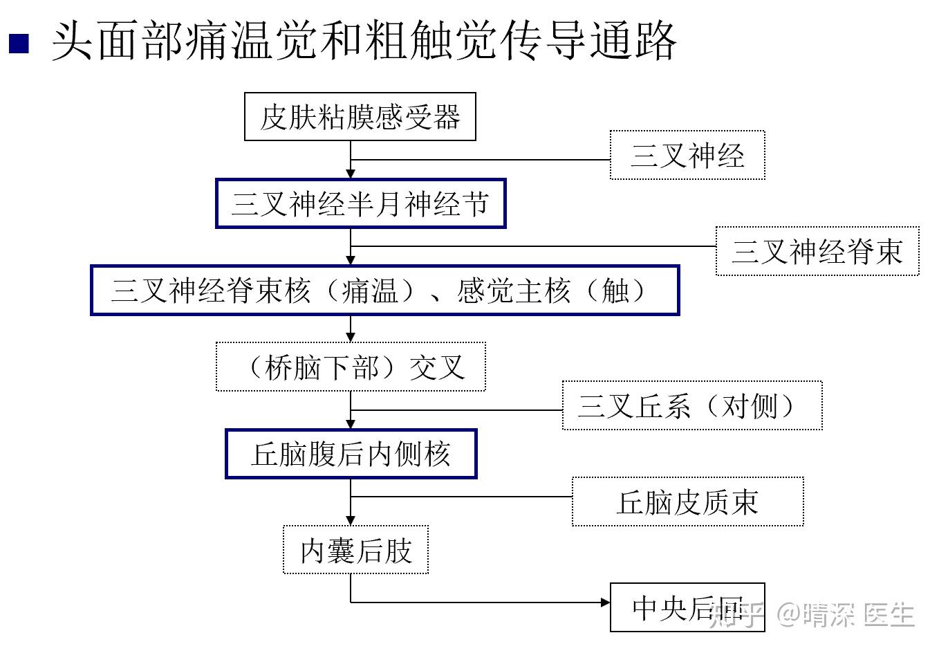 为什么丘脑病变时深感觉和精细触觉障碍重于浅感觉肢体
