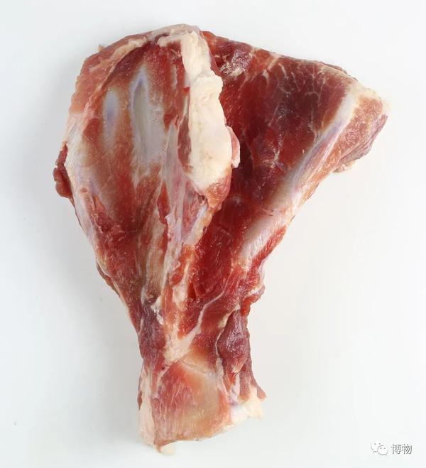 肉真好吃啊但我选择啃大骨头