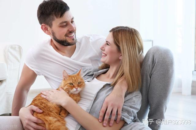养猫到底好不好?养猫的好处与坏处,听听资深铲屎官的看法吧 - 知乎