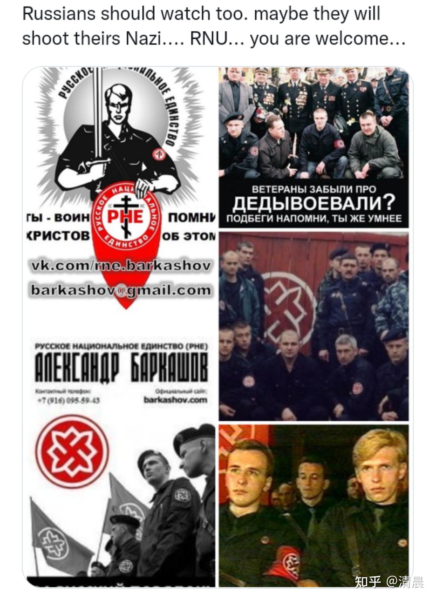 新纳粹和纳粹的区别图片