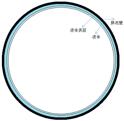 肺泡表面张力方向图片