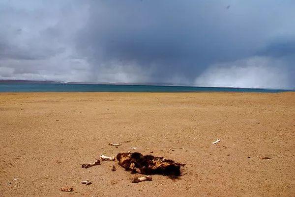 艽野,意为荒远之地.