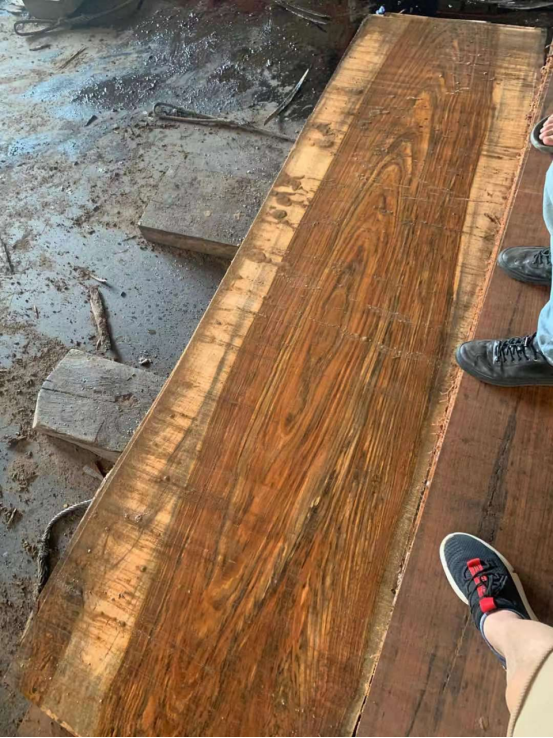 适合做地板的原材,每100棵原木里只能选出一棵质地上乘的爱里古夷苏木