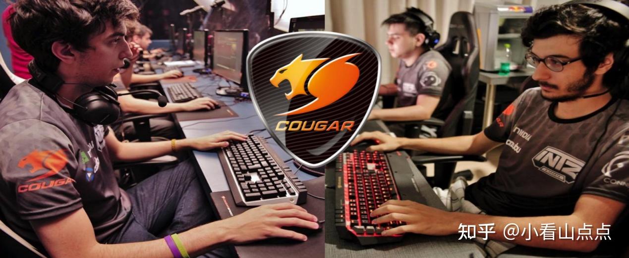 好用靠谱电竞椅推荐:专业级电竞椅品牌骨伽COUGAR,精选三款王牌电竞椅,覆盖不同场景,彻底告别选椅智商税
