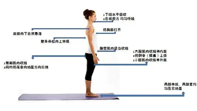 一个比散步还简单的动作,每天只需 10 分钟,就能改善体态、缓解肩颈痛! - 知乎