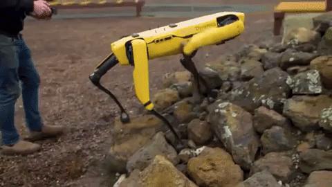 足式机器人的过去现在和未来