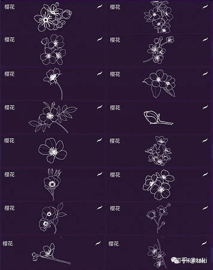 PS+procreate黑科技！各种绝美花卉线稿笔刷齐亮相！ - 知乎