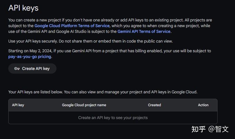 国内免费申请 Google Gemini API 及其应用 - 知乎