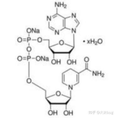 v2-83f697193a4d928ea692552216584424_r.jpg