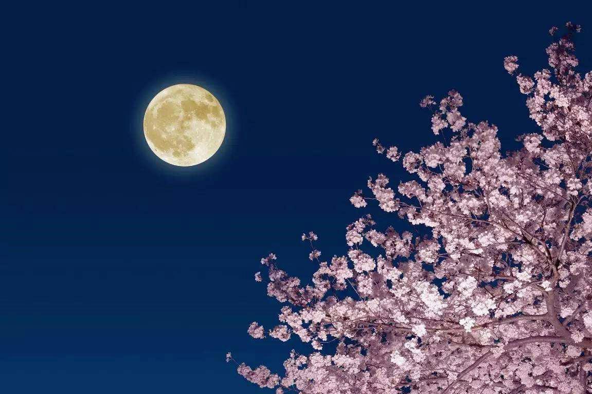 良人入梦秋月成诗最美的秋月夜在唐诗宋词里