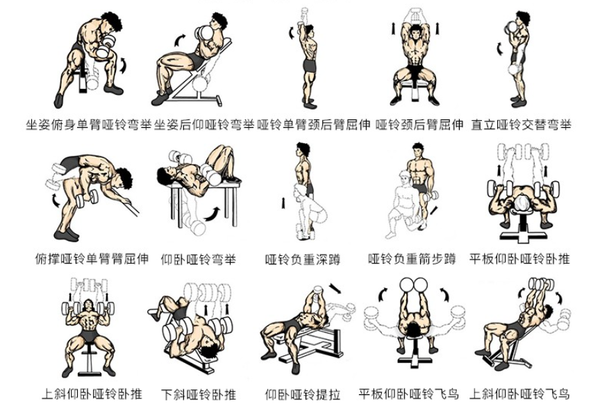 如何挑选质量好的哑铃 v2-840cbe691d598a4a3fc66f8a178af2ae_1440w.jpg?source=172ae18b