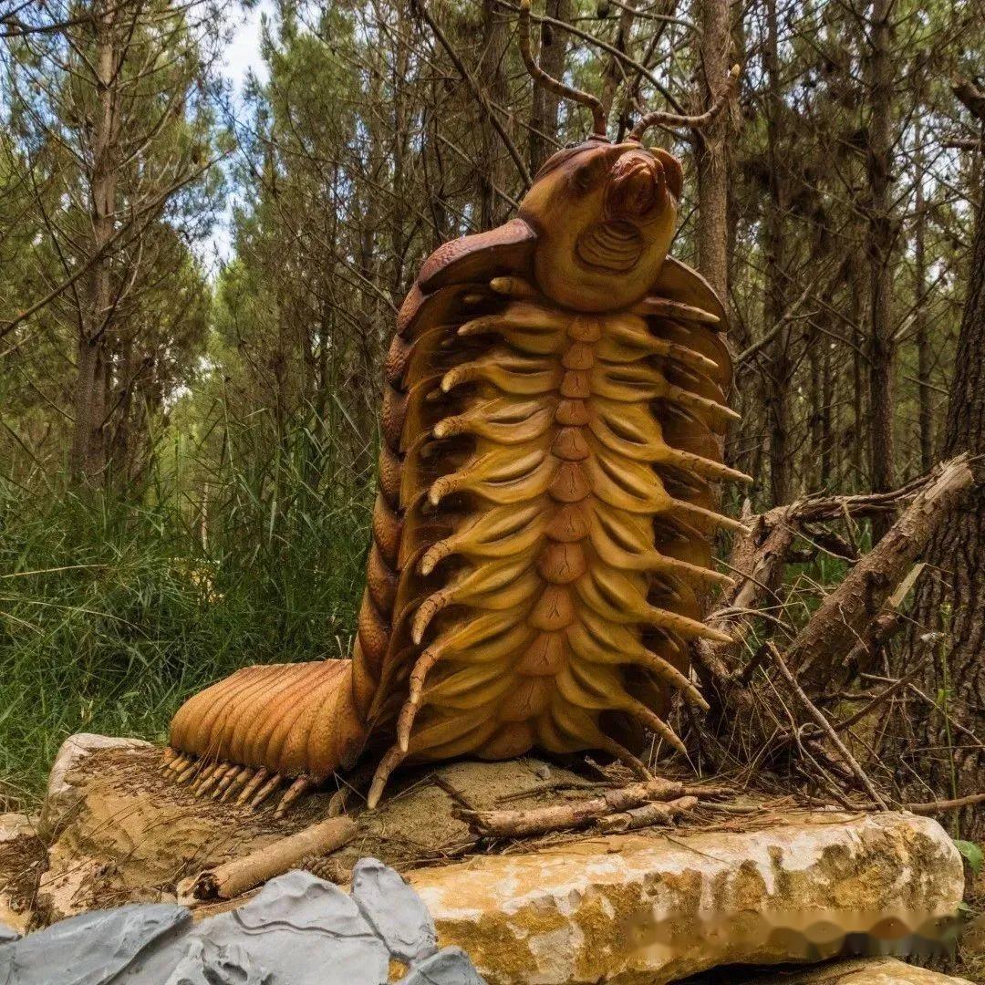和脊椎动物相比,以古马陆为代表的节肢动物具有外骨骼,即支撑与保护