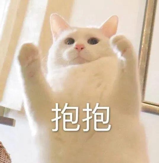 120张万能的表情包推荐-万能表情图片大全