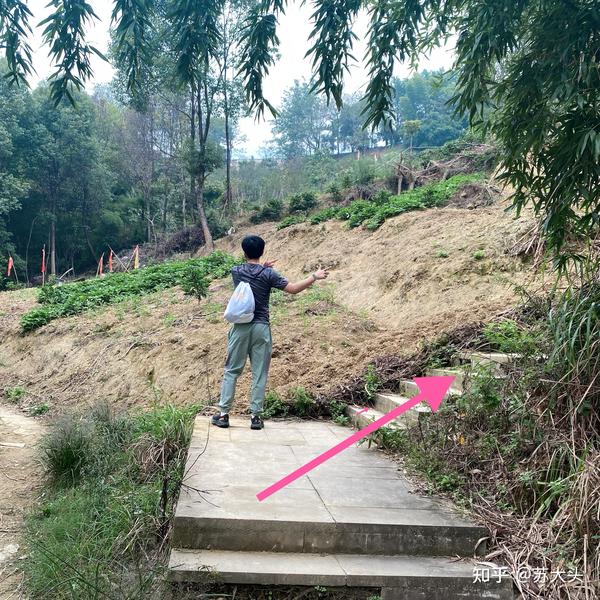 重庆徒步爬山圣地:缙云山免门票上山详细路线指引 - 知乎