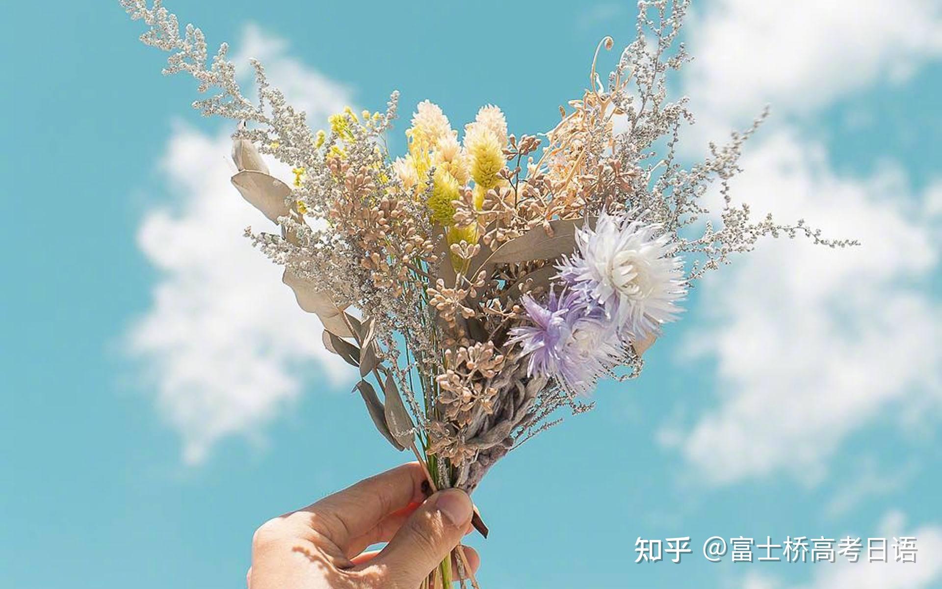 日语语法 甲斐（がい） 知乎