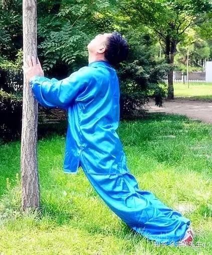 无极式通气式五虎霸道功劈拳:属金,对应肺,肺主皮毛,润肺,增强肺活量.