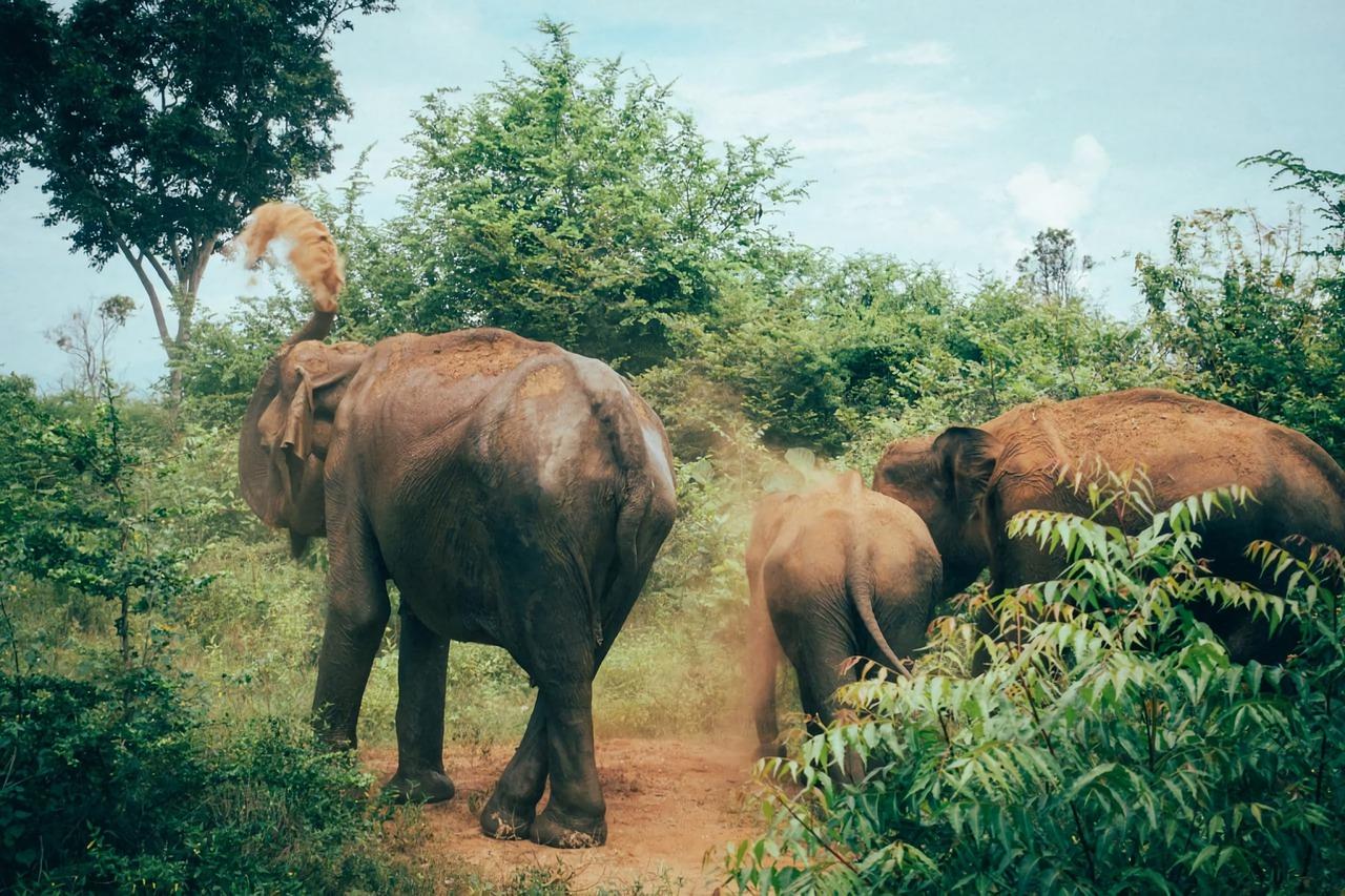 3. 南亚新村区位