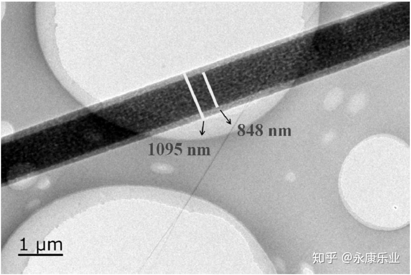 圖4 核層溶液中石蠟的質量濃度為50%時所得核殼結構石蠟相變儲熱纖維