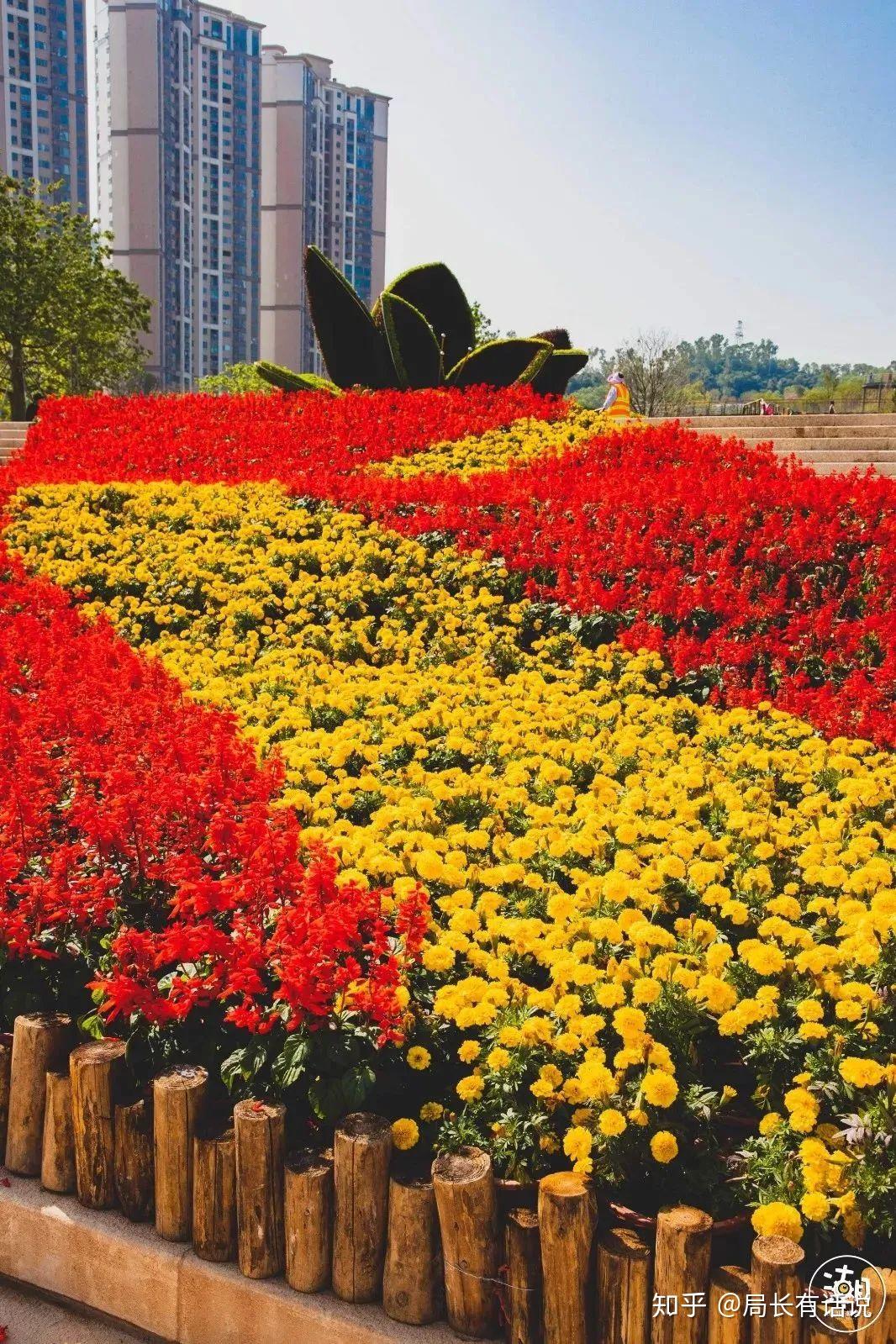 大鹏古城,中英街,莲花山公园……从自然风光到人文景观深圳的旅游景点