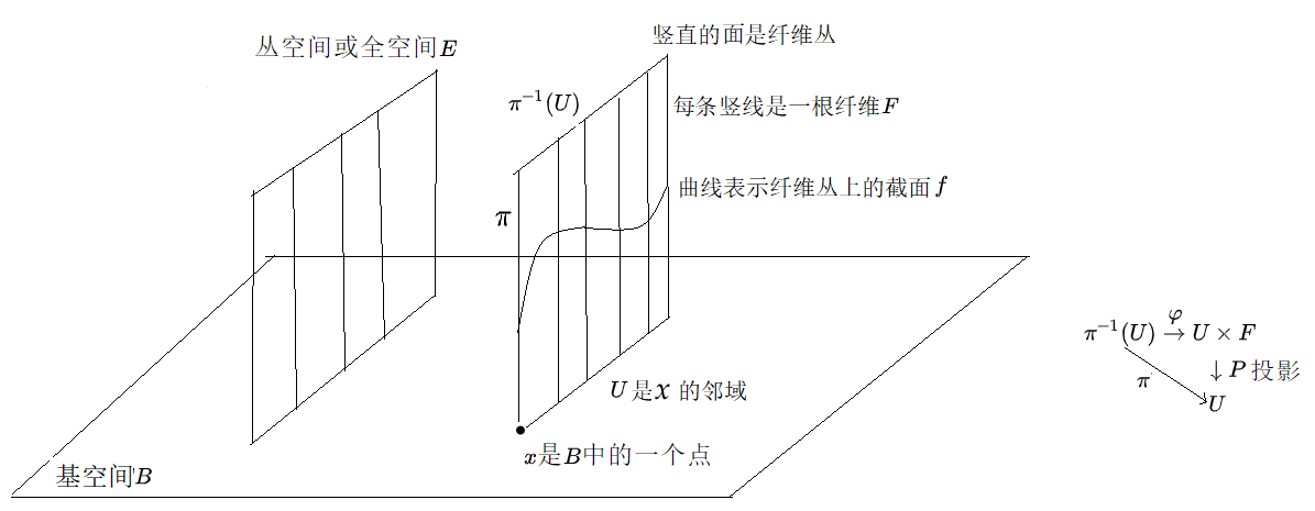 纤维丛示意图 知乎